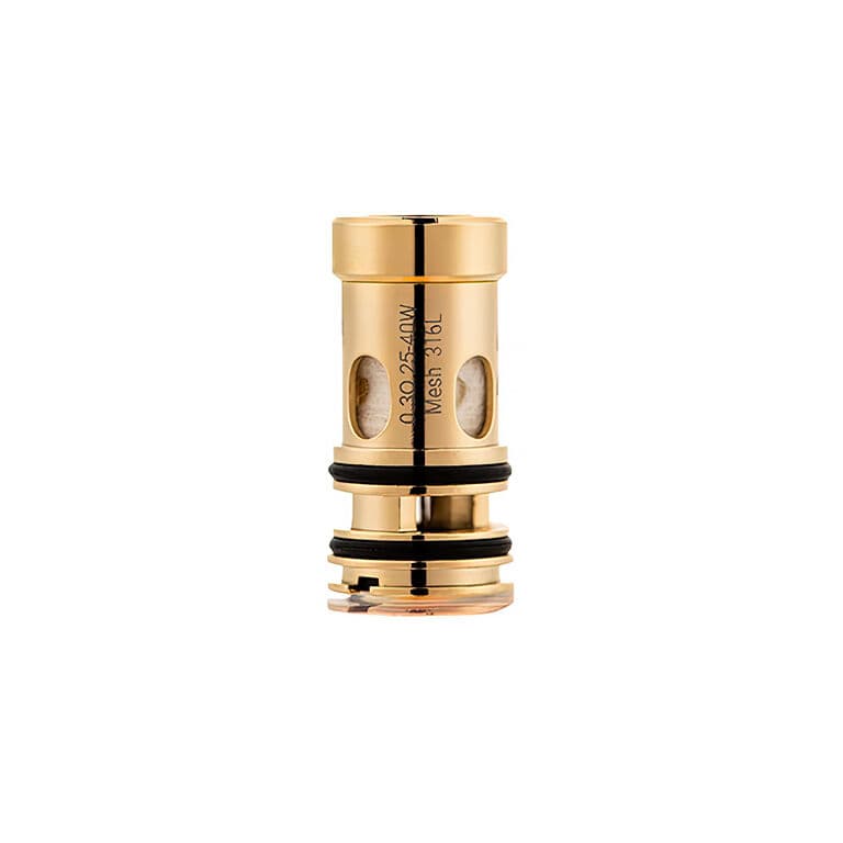Dotmod dotCoil V2 žhavící hlava 0,3ohm Elektronické cigarety - hlavní obrázek
